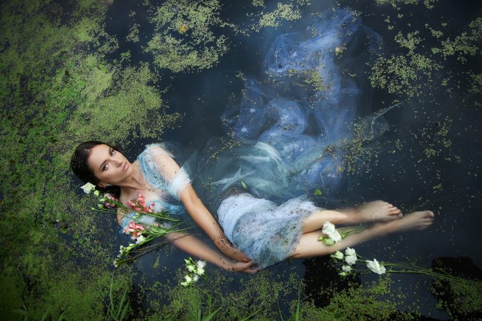 Dreams Dreams
